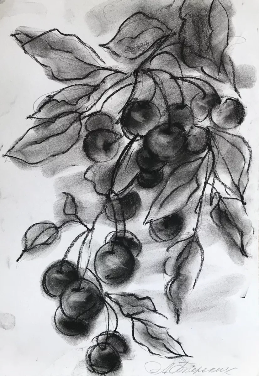 Сerasus' (Cherry tree) (2015) Charcoal drawing by Anastasia Terskih