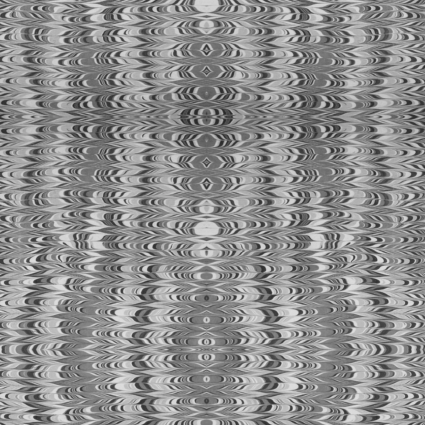 Feather Wallpaper