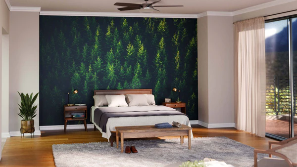 Above of the Forest Mural