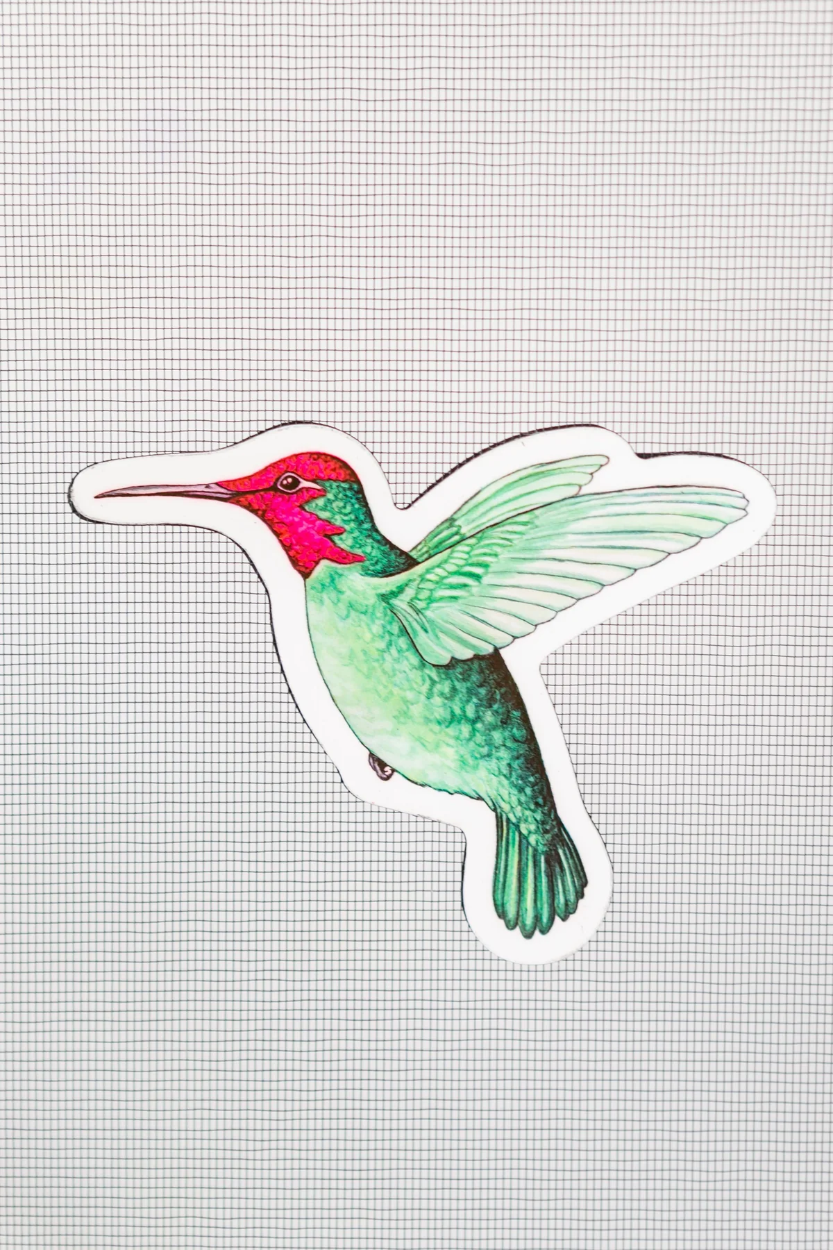 Hummingbird Screen Door Magnets (5.25" x 4.75" )