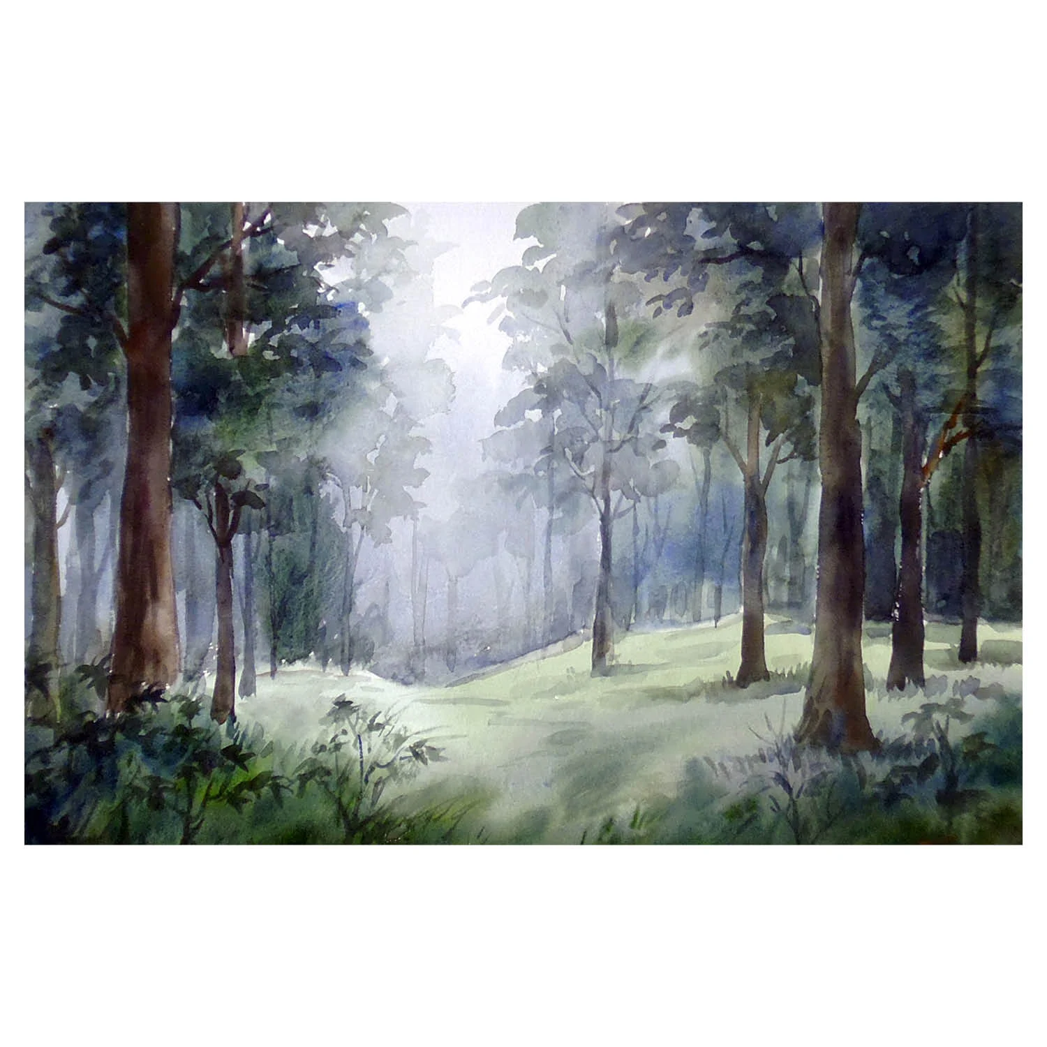 ‘Misty Himalayan Forest’ (Print)