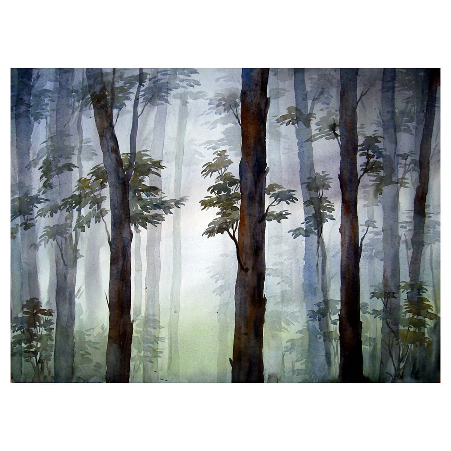‘Misty Mountain Forest’ (Print)