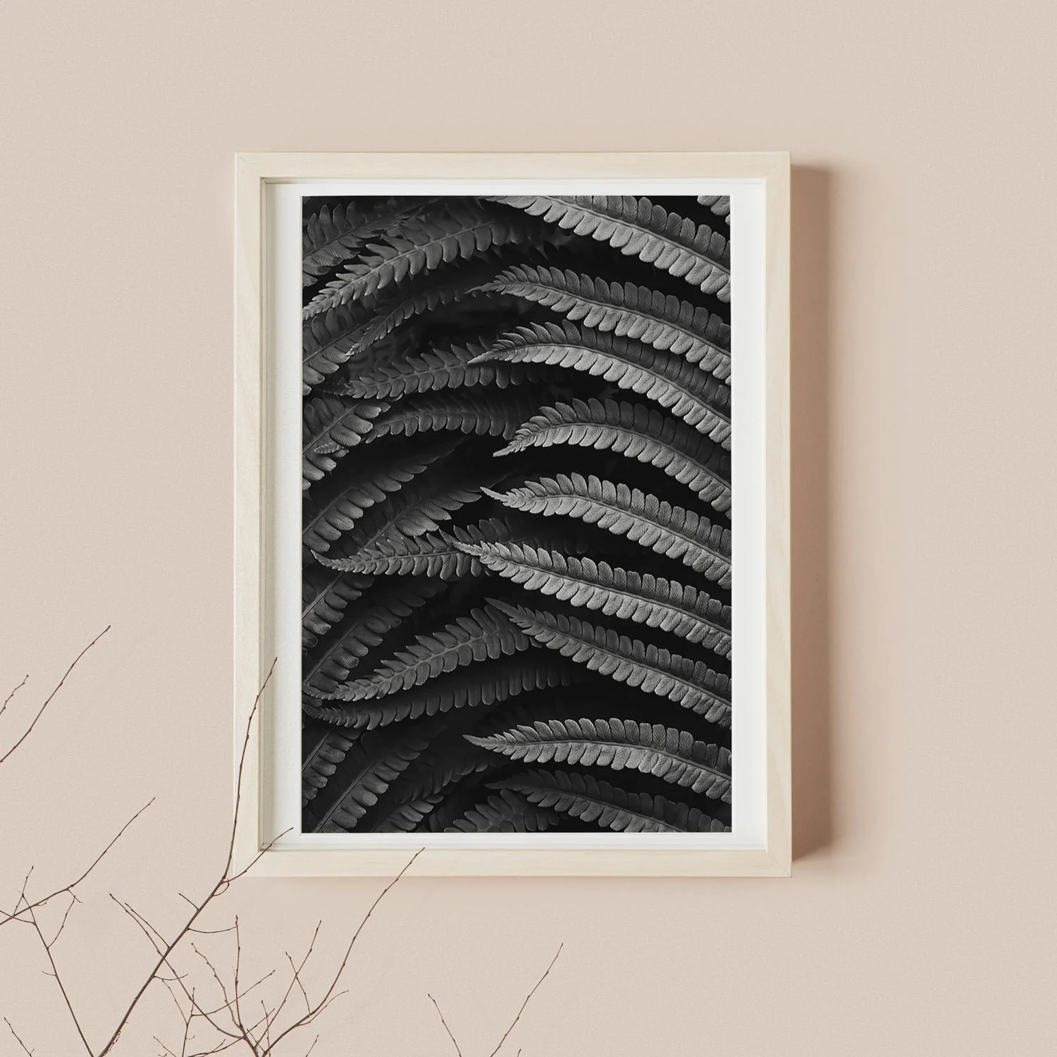 Black & White Fern Poster