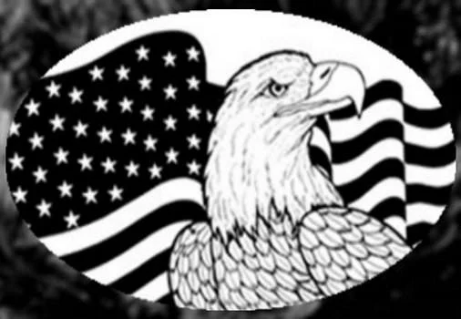 Horizontal Flag n Eagle Etched Glass Decals (Static Cling)