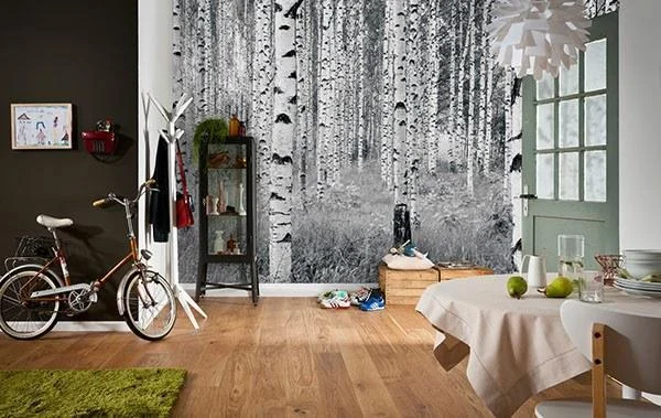 Birch Forest Wall Mural
