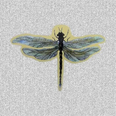 Dragonfly Screen Door Saver Magnets (6.25" x 4.25")